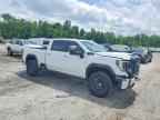 2024 GMC Sierra