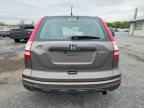 2010 HONDA CR-V