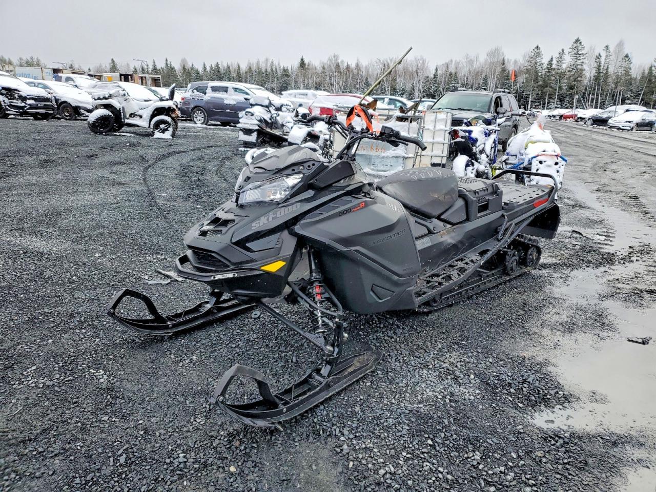 2025 Ski Snowmobile
