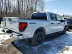 2025 FORD F-150 Lightning