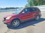 2007 HONDA CR-V