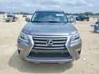 2018 LEXUS GX 460