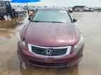 2010 HONDA ACCORD