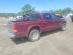 2002 DODGE Dakota