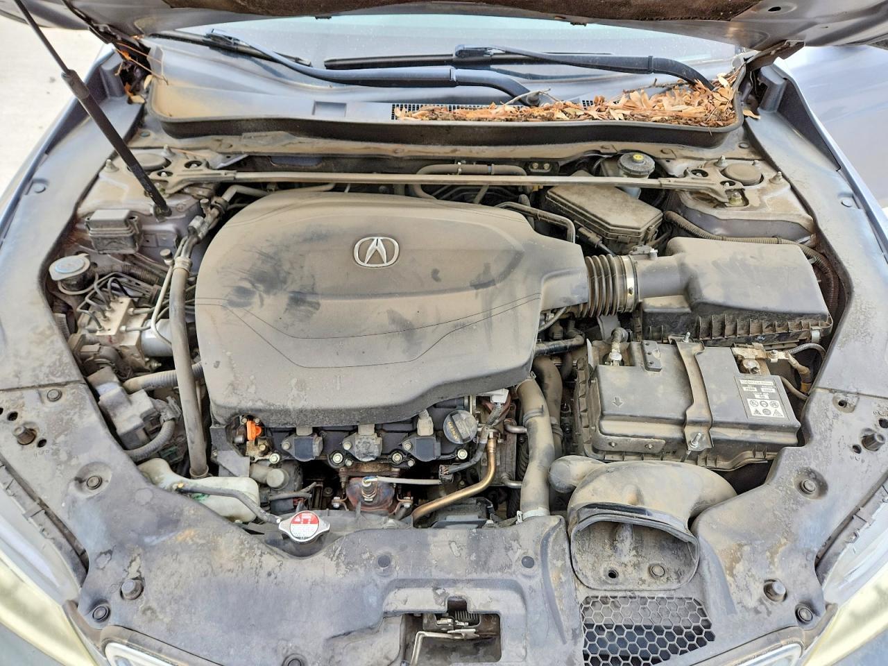 2015 ACURA TLX