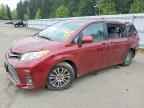 2019 TOYOTA SIENNA