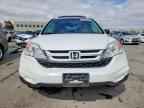 2010 HONDA CR-V