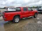 2010 DODGE Dakota