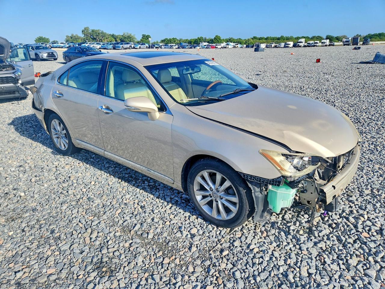 2010 LEXUS ES 350