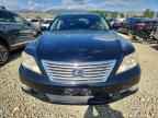 2010 LEXUS LS 460