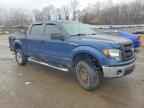 2013 FORD F-150 Lightning