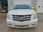 2010 CADILLAC Escalade ESV