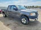 2006 FORD F-150 Lightning