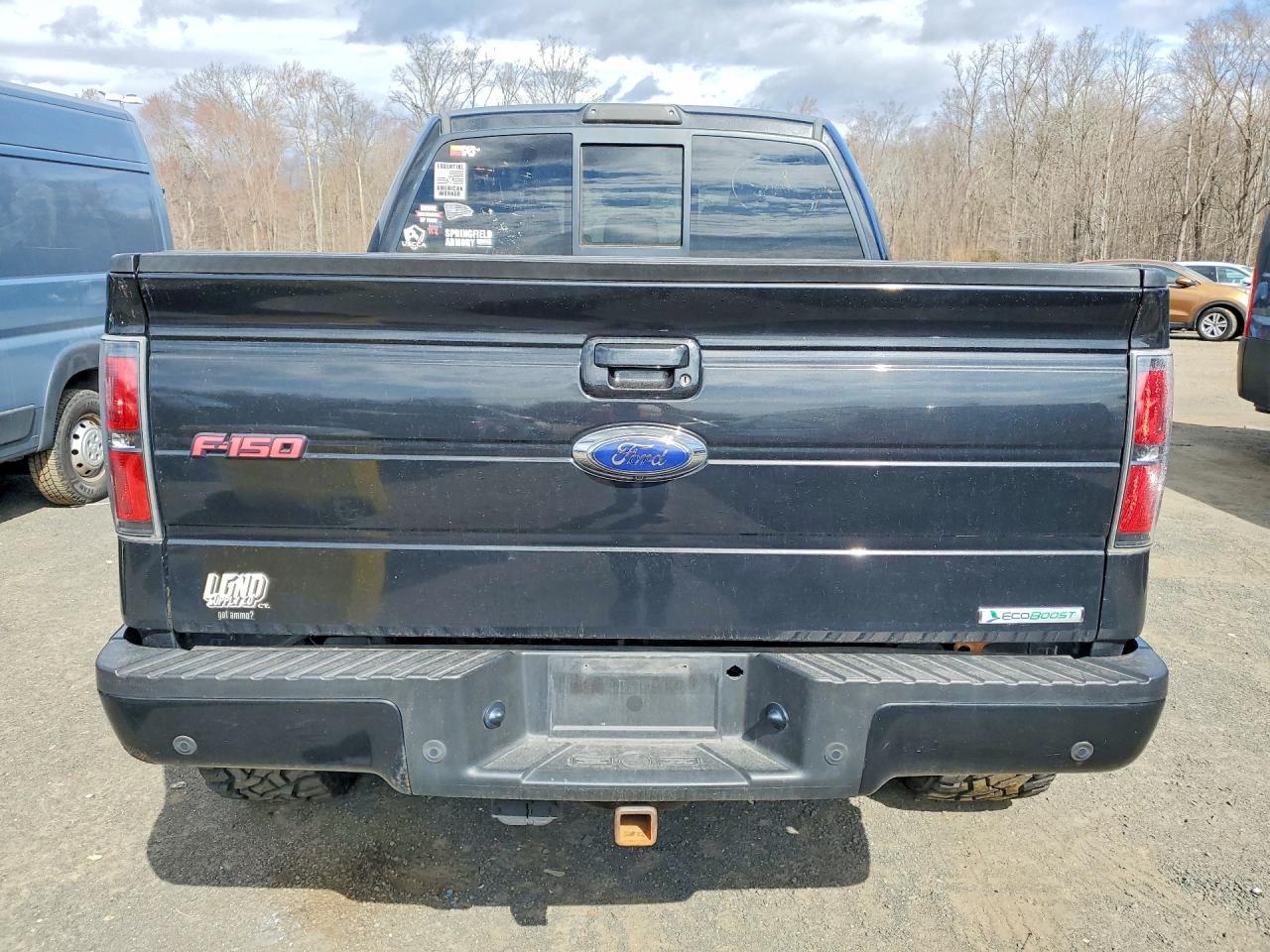 2013 FORD F-150 Lightning