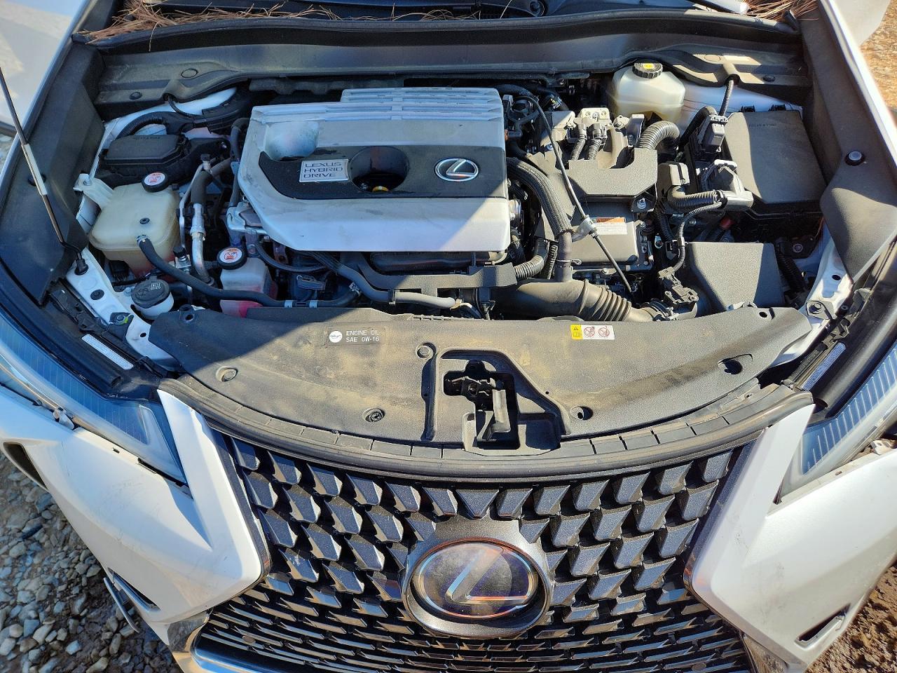 2019 LEXUS UX 250H