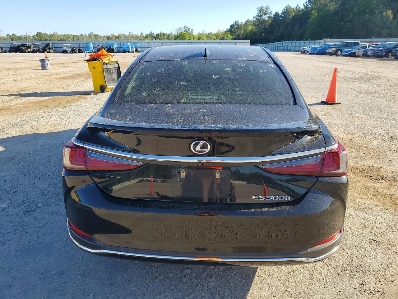 2019 LEXUS ES 300H