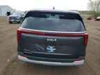 2026 KIA Carnival
