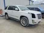 2019 CADILLAC ESCALADE