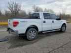 2013 FORD F-150 Lightning