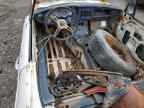 1973 Mg Mg