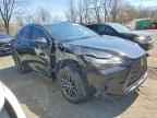 2025 LEXUS NX 350