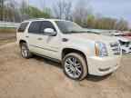 2013 CADILLAC ESCALADE