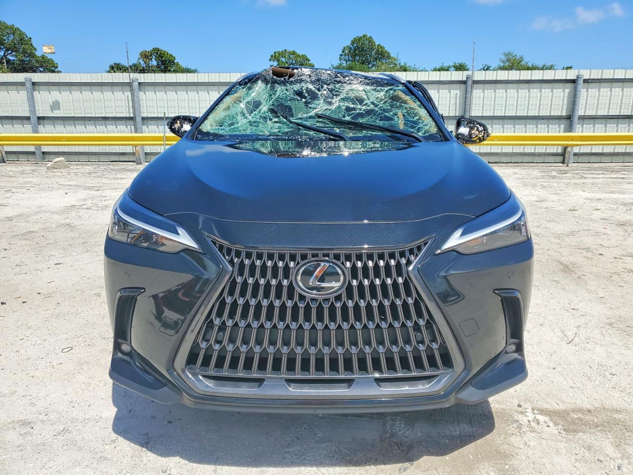 2025 LEXUS NX 250
