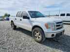 2013 FORD F-150 Lightning