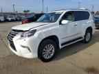 2019 LEXUS GX 460