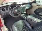 2010 FORD MUSTANG