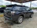 2023 TOYOTA 4Runner
