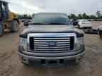 2010 FORD F-150 Lightning
