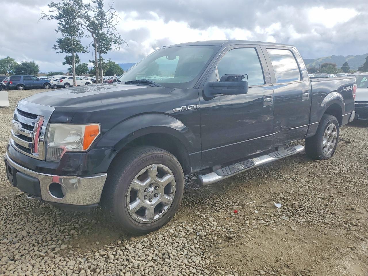 2009 FORD F-150 Lightning
