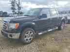 2009 FORD F-150 Lightning