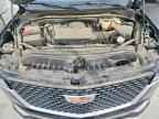 2024 CADILLAC ESCALADE