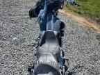 2019 HARLEY-DAVIDSON Flhxse