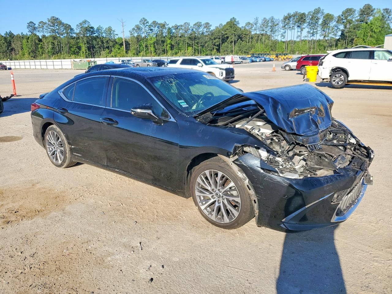 2019 LEXUS ES 300H