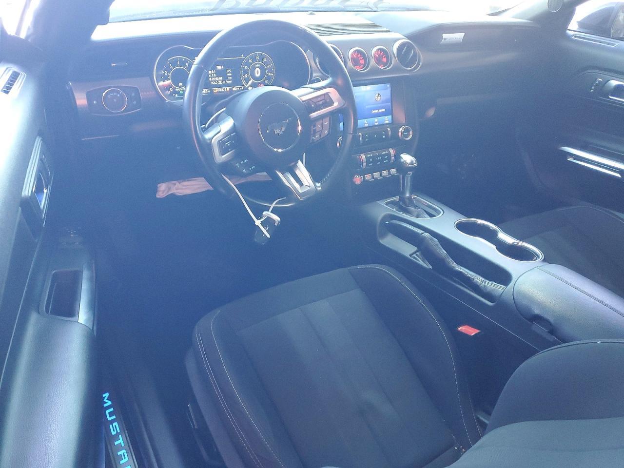 2019 FORD MUSTANG