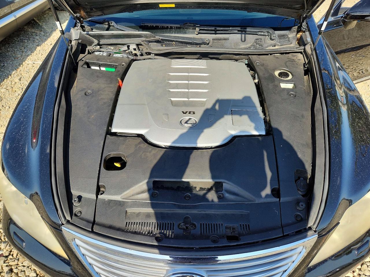 2010 LEXUS LS 460