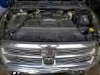 2010 DODGE Ram 2500
