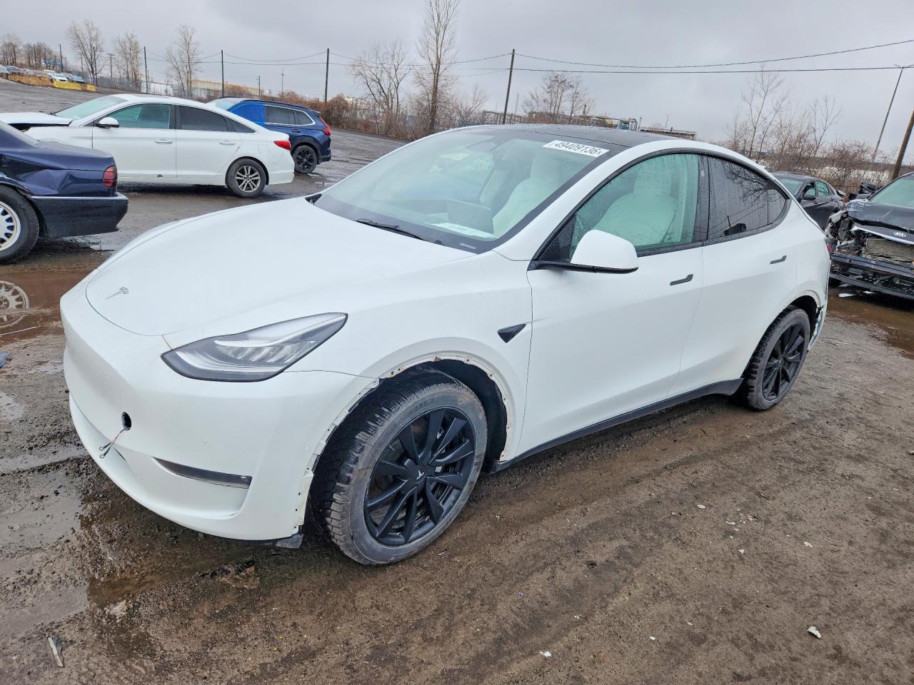 2021 TESLA MODEL Y