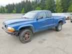 2004 DODGE Dakota