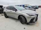 2024 LEXUS NX 350