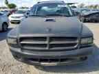 2003 DODGE Dakota
