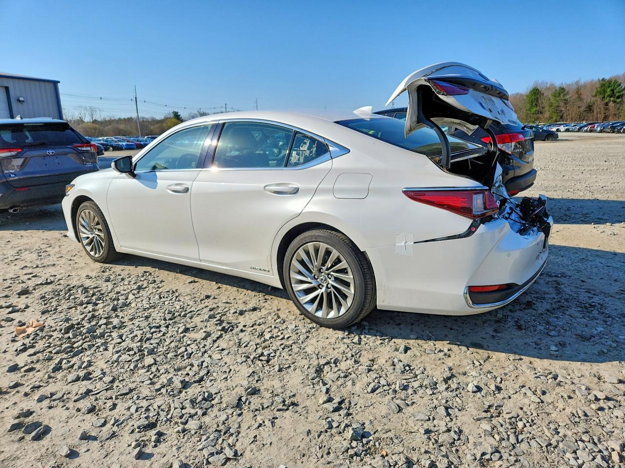 2019 LEXUS ES 300H