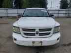 2008 DODGE Dakota