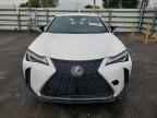 2019 LEXUS UX 200