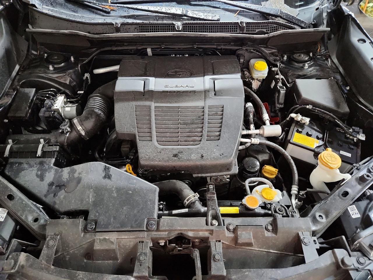 2023 SUBARU FORESTER