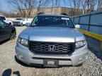 2014 HONDA Ridgeline