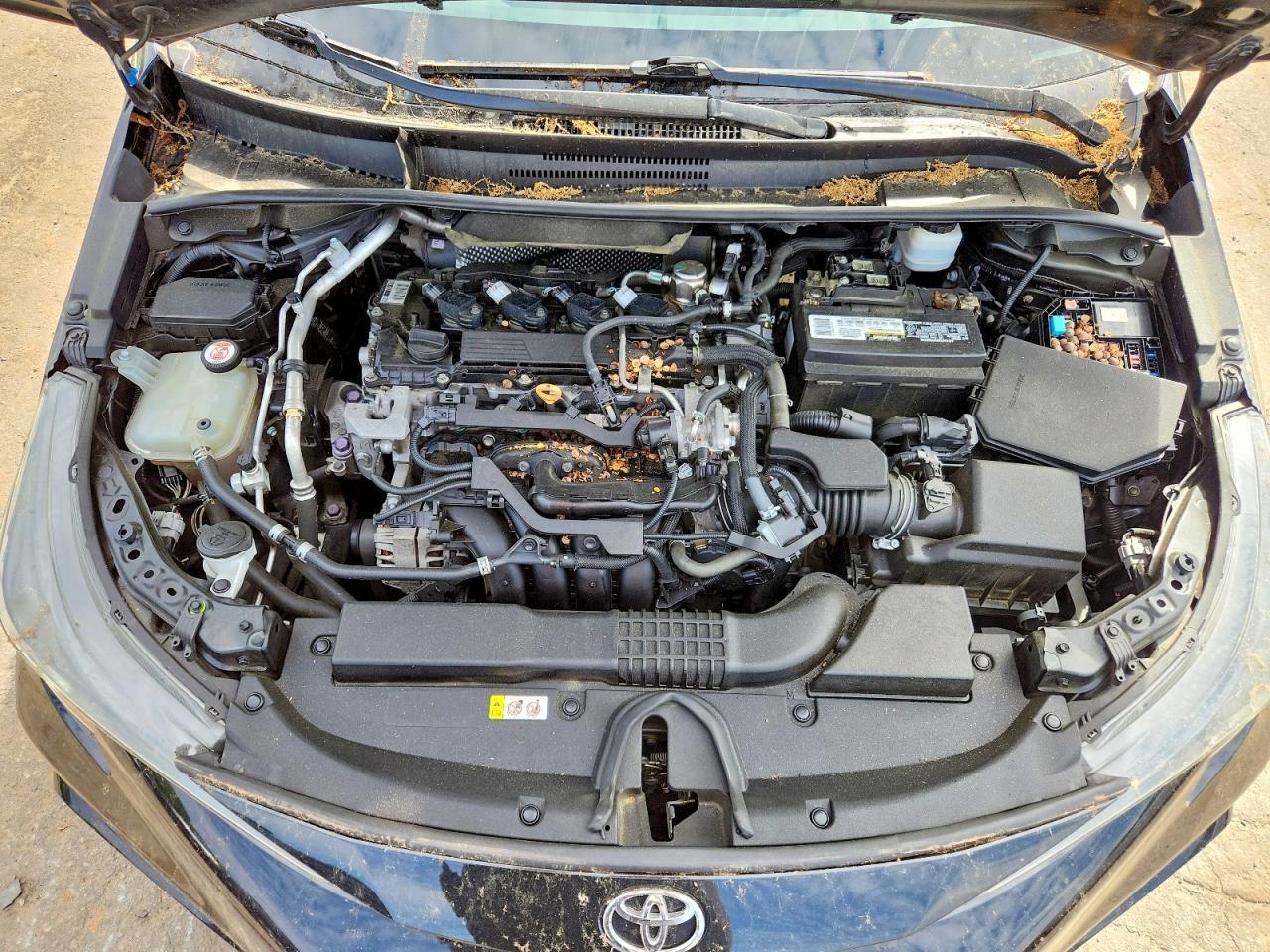 2020 TOYOTA COROLLA